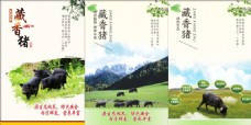 藏香猪猪肉海报喷绘设计