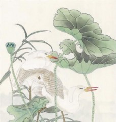 花鸟 中国画 24