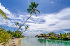 大自然美丽椰树海滩风景