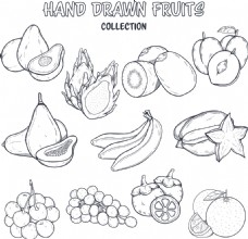 猴时尚线条手绘水果插画