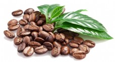 可可咖啡豆png元素