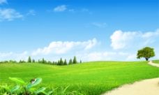 蓝天白云草地psd素材美丽的天空和草地