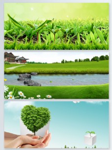 绿色环保环境保护绿色小苗发芽展板背景
