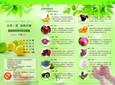 绿色蔬菜三折页图片