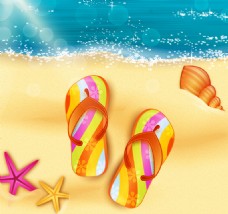 沙滩与沙滩拖鞋