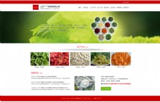 绿色蔬菜绿色食品网站模板