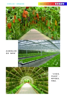 创意生态农业观光园设计案