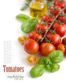 绿色叶子新鲜的小番茄水果高清图片