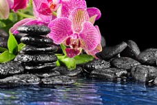 SPA水疗黑色水疗石与兰花图片