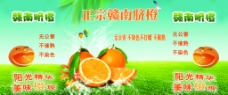 水果广告赣南脐橙展板广告水果