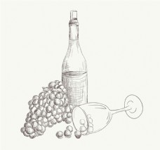 葡萄酒素描葡萄红酒与红酒杯