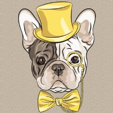 宠物狗卡通可爱的绅士狗插画