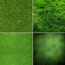 4款绿色草地高清图片素材