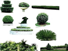 建筑物植物贴图素材建筑装饰JPG0227