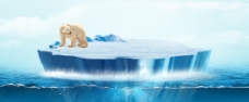 冰山北极熊分层素材