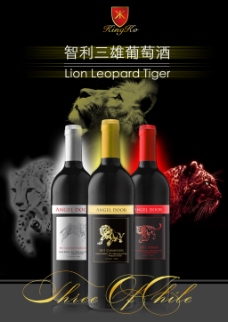 智利红酒宣传海报