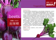 健康蔬菜健康小知识画册蔬菜类甜菜图高清PSD下载