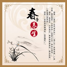 中国风设计春季养生海报设计psd素材下载