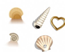 装饰品扇贝珍珠海螺心形图片