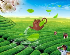 茶叶宣传广告背景图片