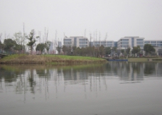尚贤河湿地图片