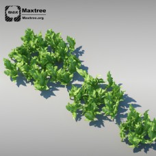 树木草模型图片
