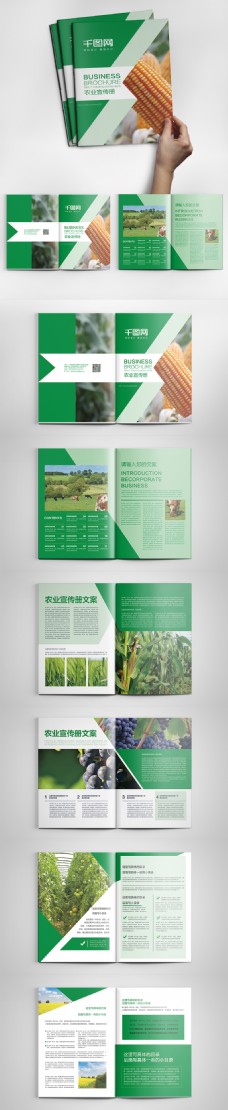 产品画册绿色时尚大气农业画册PSD模板