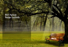 自然树林画册PSD高清素材免费下载