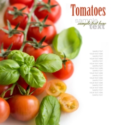 绿色蔬菜新鲜的小番茄水果高清图片