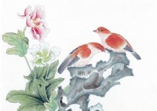 花鸟 中国画