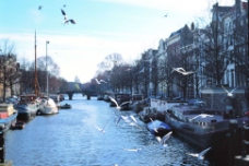 建筑摄影欧洲建筑河道船只影楼摄影背景图片