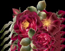 复古文艺风成熟玫瑰花装饰素材