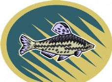 五彩小鱼 水生动物 矢量素材 EPS格式_0719