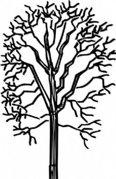 树木 矢量素材 eps格式_0166