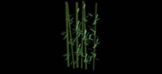 竹子3D模型图片