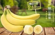 水果海报香蕉水果上市海报图片