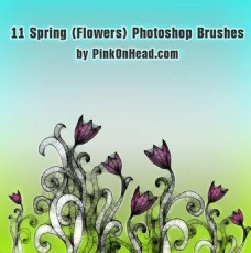 11款春季花朵花卉PS笔刷