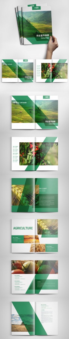 创意画册创意绿色农业宣传画册设计PSD模板