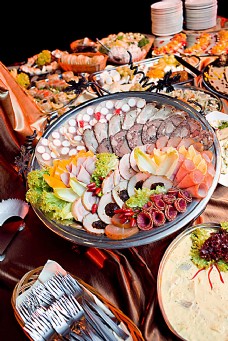 各种各样的杂食