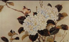 花鸟名画中国古藏0023