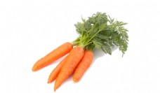 蔬菜红萝卜png元素