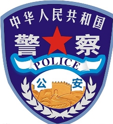 其他公安系统警察臂章图片