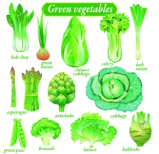 青色绿色蔬菜青菜白菜
