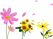 花朵创意创意多彩花朵png元素