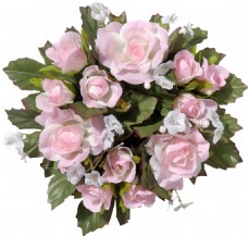 粉玫瑰花束装饰素材