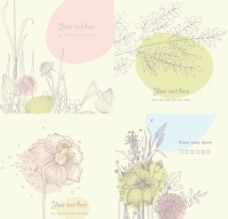 线描花卉 唯美卡片 唯美花卉图片