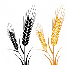 粮食小册黑色和黄色的麦穗设计矢量图图片