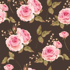 时尚粉色唯美玫瑰花背景