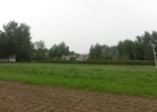 农村图片