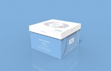 蓝色小清新蛋糕盒